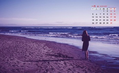 一品闺秀夜有轻寒